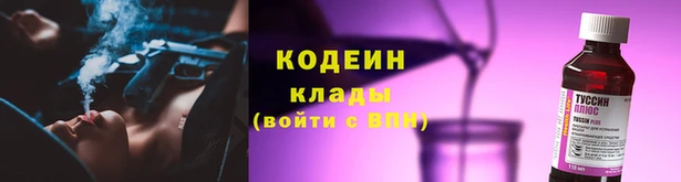 гашик Лихославль