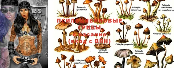 метамфетамин Лиски