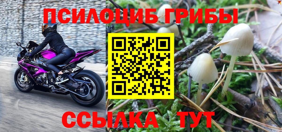 Троицк  Псилоцибиновые грибы ЛСД  Галлюциногенные грибы мухоморы  Вход с VPN 